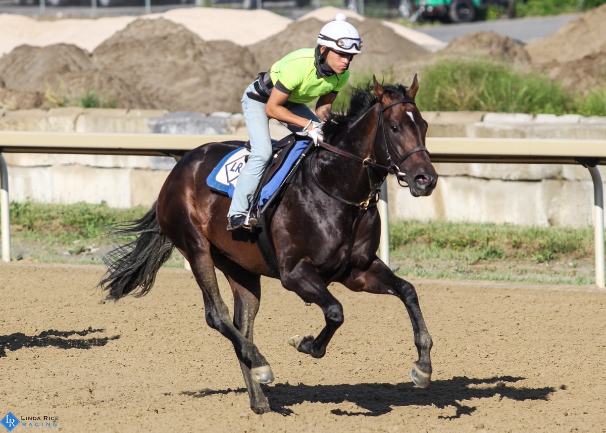LindaRiceRacing's tweet photo. Villainous &amp; Family Biz both run in race 3 at Belmont today and Corey Scores is in race 5. Good luck to the connections! https://t.co/UWnIE4CtX4