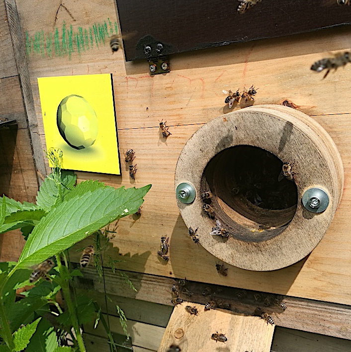 Jetzt ist Zeit für das gelbe #Lichtsprache #Bienenmotiv
STOPP VARROEN. Einfach in der Nähe des Flugloches anbringen.
lightworkobjects.com/bienen