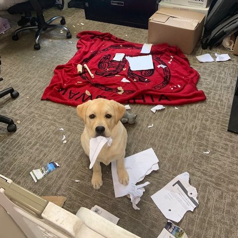 ColinHansen's tweet image. Image Group has a new paper shredder.  @imagegroupinc