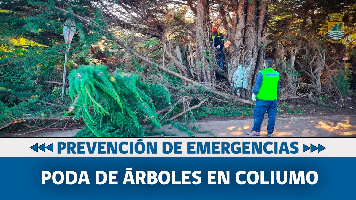 🔵 𝗠𝗨𝗡𝗜𝗖𝗜𝗣𝗜𝗢 𝗘𝗡 𝗧𝗘𝗥𝗥𝗘𝗡𝗢