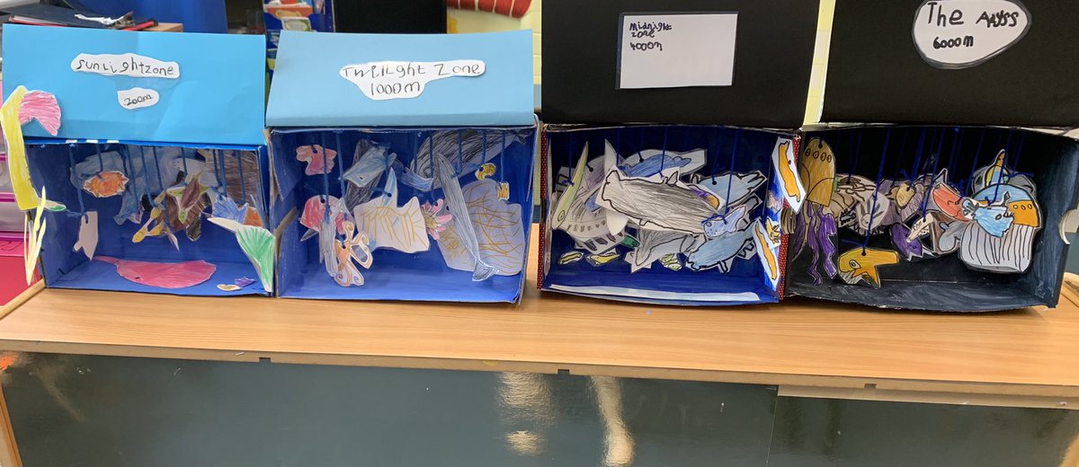 Miss Thomas tweet media