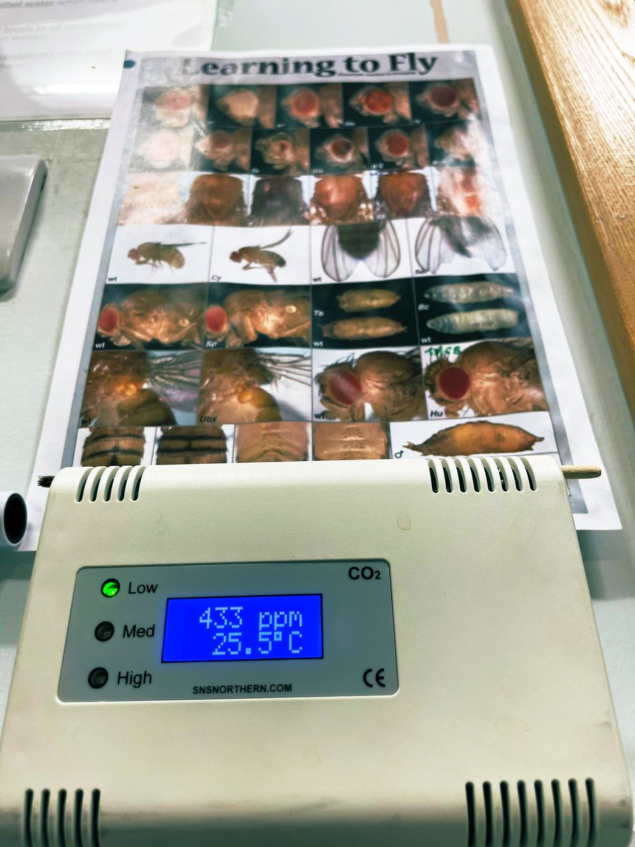 Clelia Amato tweet media