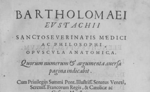 hekint's tweet image. Bartolomeo #Eustachio described the #EustachianTube that connects the inner ear to the throat.  With Andreas #Vesalius and Gabriele #Falloppio he constitutes the Anatomical Trinity from which modern scientific of anatomy had its birth       bit.ly/3ge4uBu