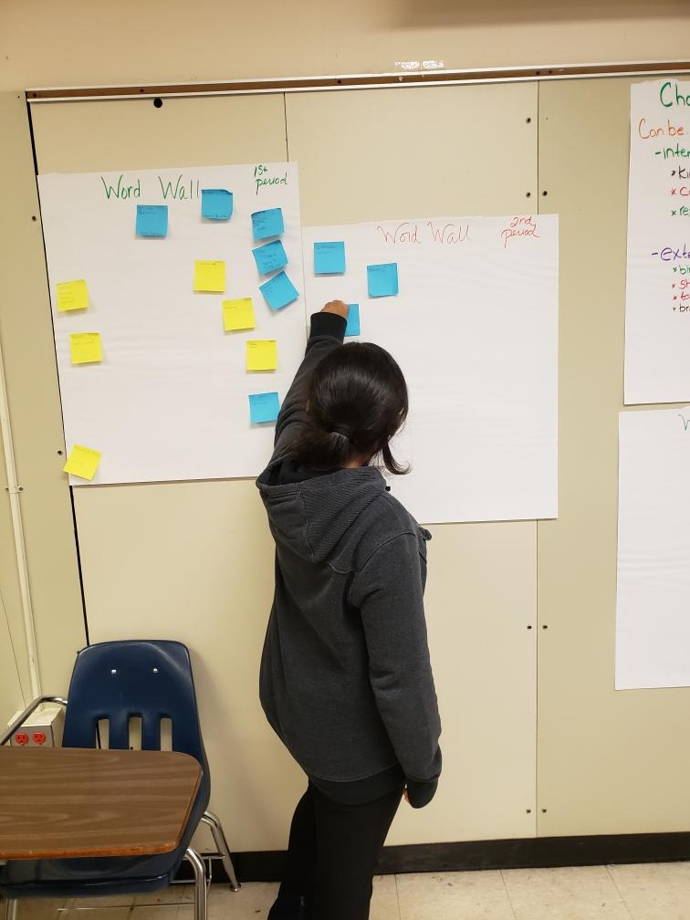 lanorafields tweet media