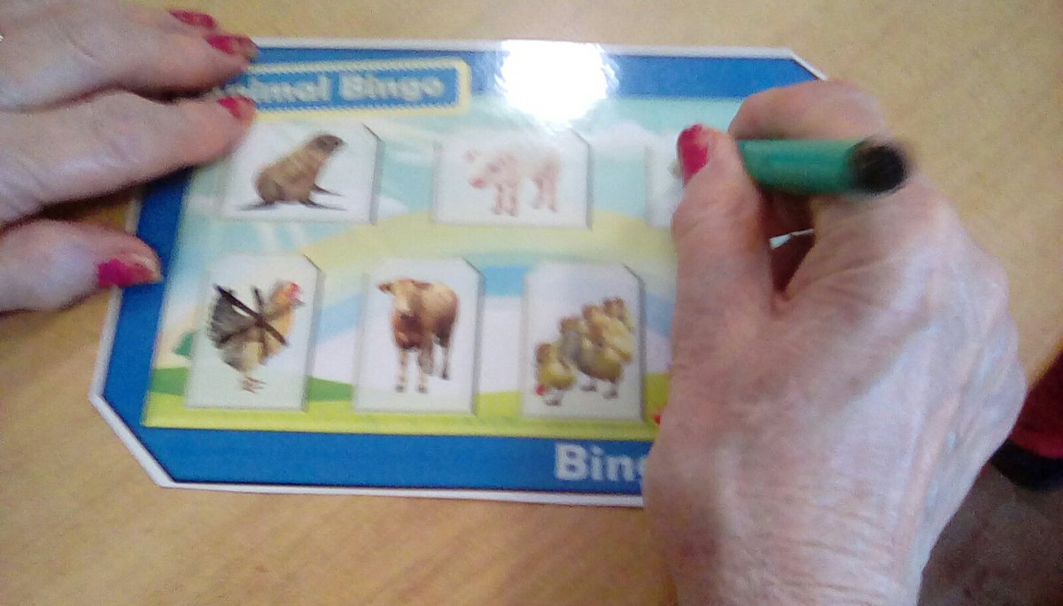 Animal Bingo Night 🌙 and winning chocolate 🍫. #hicaactivities