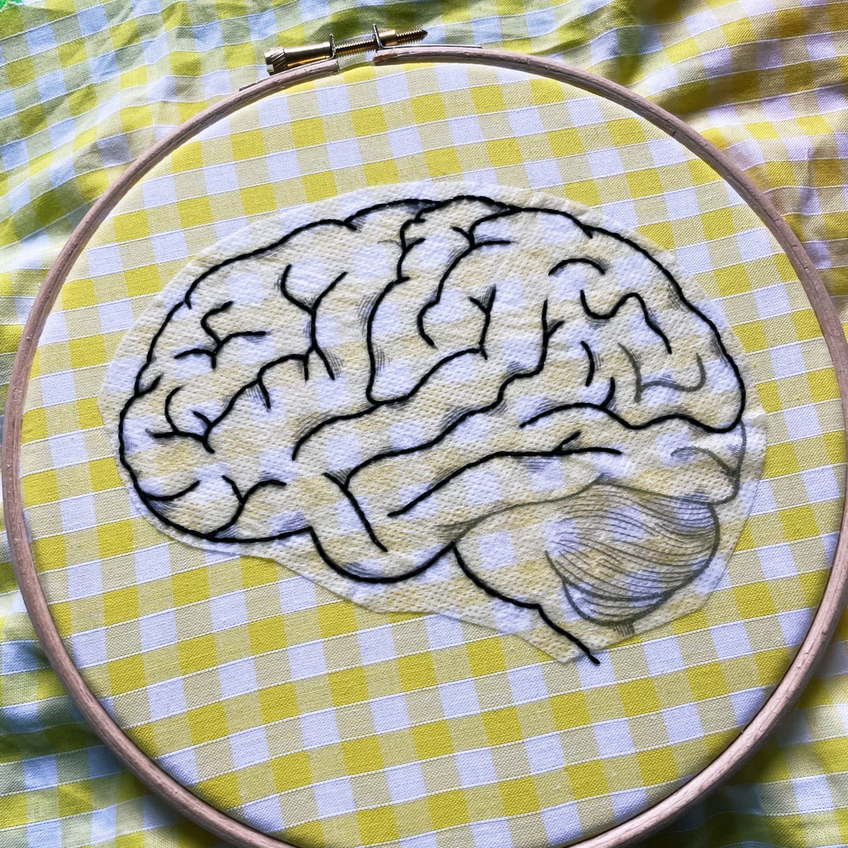 NeedlesNeurons's tweet photo. Iβve got a few brains available (human & drosophila) and can make larger/custom designs easily too! #SciArt #ScienceEmbroidery https://t.co/seSPVr0lhS