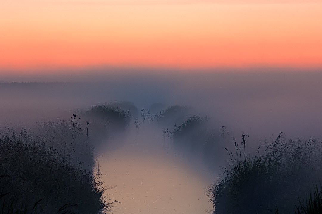 avfotoreportage's tweet image. These pictures where taken 1 hour after sunset. The colors and the mist that came rolling in, made the scene spectacular😀 
#sunsetphotography #landschapsfotografie #foggyevening #colorsofnature #bluehour  #bluehourphotography