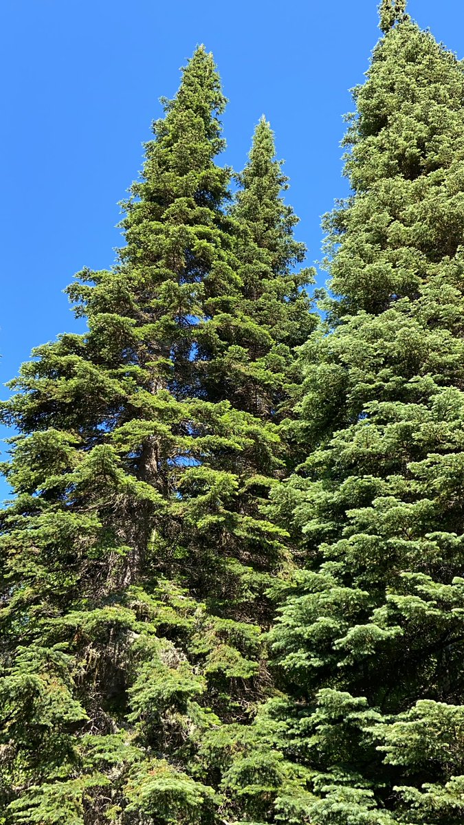 Finally a gorgeous day here in #centralbc Live this view from my deck, perfect start to my day #fridaymorning