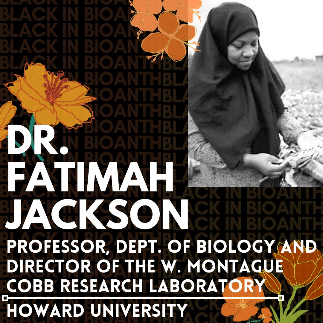 The Black in Biological Anthropology Collective (@blackinbioanth) on Twitter photo For this week's BiBA Friday feature, we are highlighting one of the legends in our field!!
Dr. Fatimah Jackson (<a href="/JacksonFatimah/">Jackson, Fatimah</a>) is a distinguished African American biologist and genetic anthropologist. #BlackinBioAnth For this week's BiBA Friday feature, we are highlighting one of the legends in our field!!
Dr. Fatimah Jackson (<a href="/JacksonFatimah/">Jackson, Fatimah</a>) is a distinguished African American biologist and genetic anthropologist. #BlackinBioAnth