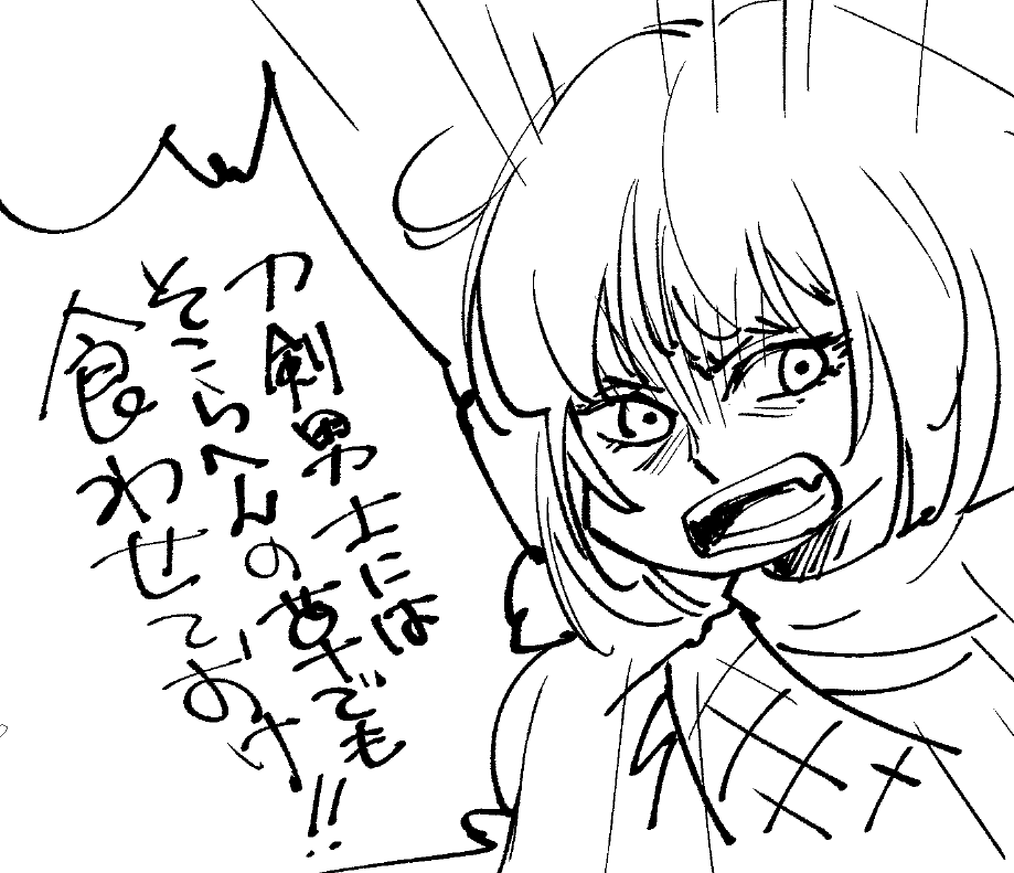 夏の陣ネタバレ
(信じるか信じないかは審神者次第) 