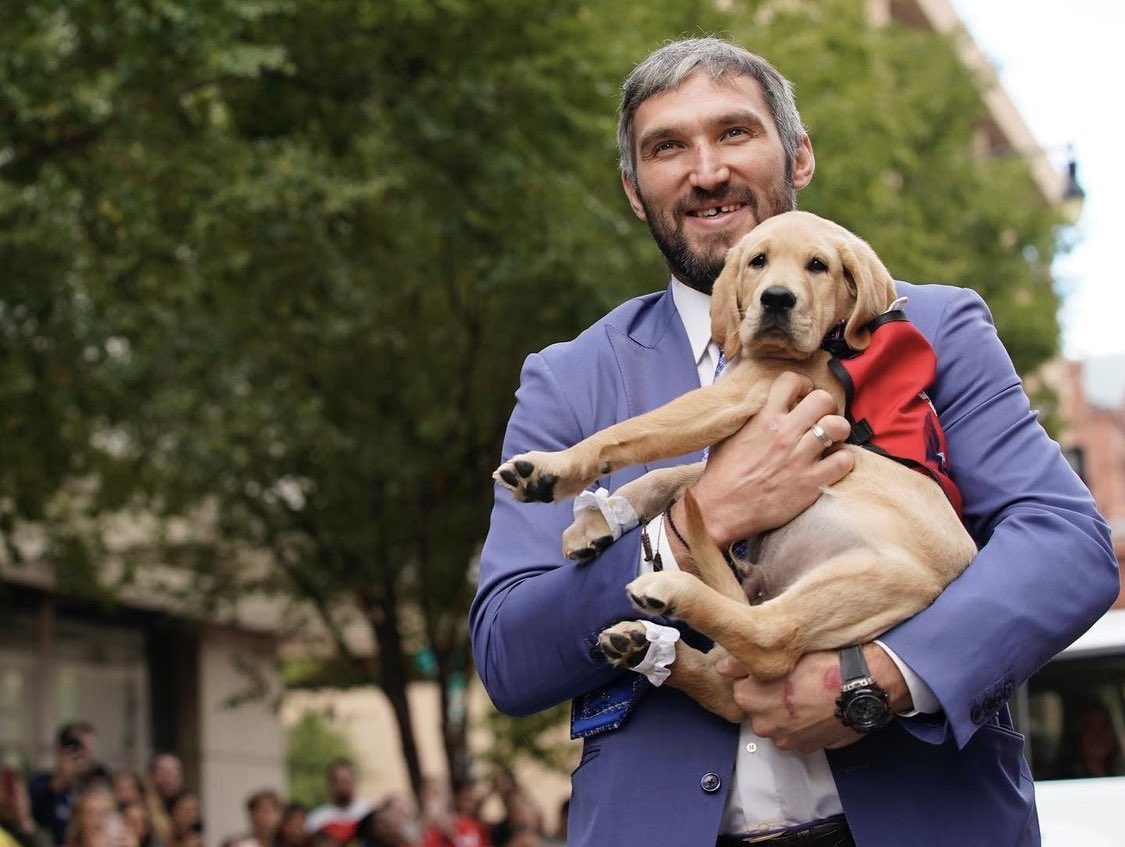 AmericasVetDogs's tweet photo. Who doesn’t love a good #flashbackfriday on this #captainfriday - how cute does little @capspup look in @aleksandrovechkinofficial’s arms?! 
Captain is at the end of his formal training &amp; will begin his placement with his veteran very soon! https://t.co/1UEKmmtB79