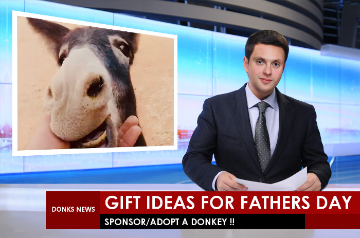🥕It’s Fathers Day on Sunday 20th June in UK - why not adopt a donkey for your Father; it makes a wonderful gift &amp; supports our rescued donkeys too🙏🧡👍🏼  bit.ly/3pJwqjO