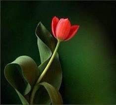 🌟⭐️🌟🌟sʜᴀʜᴢᴀᴅ ᴍᴜɴɪʀ🌟⭐️🌟⭐️ (@shz787) on Twitter photo #G__PG
🌃~RT
<a href="/Ghzl_3/">غـــزالــہ ...💕</a>
@S_butt2
<a href="/pk5125/">💞Murshad💞</a>
<a href="/my_duas/">Spogmai سپو گمئی</a>
<a href="/Sunyk0/">Shadab Khan</a>
<a href="/P__1e/">𝓟𝓻𝓲𝓷𝓬𝓮 🌹</a>
<a href="/MQ_g22/">@MQasim2056</a>
<a href="/Daani99/">Danish Ali</a>
<a href="/zarahrr/">رها🐥</a>
<a href="/Myf__7/">🌹ʍօօռǟ ʏօʊֆǟʄ🌹</a>
<a href="/Z_Ch07/">Zeshan.Ch</a>
<a href="/58Yas_/">Muhammad Yaseen</a>
<a href="/shz787/">🌟⭐️🌟🌟sʜᴀʜᴢᴀᴅ ᴍᴜɴɪʀ🌟⭐️🌟⭐️</a>
@my_ne5
<a href="/__Libra1/">𝚂𝚞𝚏𝚒𝚊 𝚂𝚑𝚊𝚑🍁</a>
<a href="/1Aw55/">💕 ⓦᴀQᴀꜱ ⓐᴡᴀɴ 💕</a>
@Ghzl_9
@wsy_g112
<a href="/S_butt3/">(بیک اپ) ֆɦǟɦɨɖ ɮʊȶȶ</a>
@Faaro01
<a href="/RajaGtk2/">꧁▪ 【𝑅𝒶𝒿𝒶 𝑀𝓊͢͢͢𝒿𝑒𝑒𝒷】࿐</a>
<a href="/Slm_334/">Abdul Salam Khan</a>
@MW__13
@SO__355
@i_AhsanJ
<a href="/soon_abid/">Abid Afridi</a>
<a href="/Ghzal_6/">غزل</a>
<a href="/alizehs11/">Alizeh Shezadi</a>
@rabi_890
<a href="/qunix_blogs/">Anaya</a> #G__PG
🌃~RT
<a href="/Ghzl_3/">غـــزالــہ ...💕</a>
@S_butt2
<a href="/pk5125/">💞Murshad💞</a>
<a href="/my_duas/">Spogmai سپو گمئی</a>
<a href="/Sunyk0/">Shadab Khan</a>
<a href="/P__1e/">𝓟𝓻𝓲𝓷𝓬𝓮 🌹</a>
<a href="/MQ_g22/">@MQasim2056</a>
<a href="/Daani99/">Danish Ali</a>
<a href="/zarahrr/">رها🐥</a>
<a href="/Myf__7/">🌹ʍօօռǟ ʏօʊֆǟʄ🌹</a>
<a href="/Z_Ch07/">Zeshan.Ch</a>
<a href="/58Yas_/">Muhammad Yaseen</a>
<a href="/shz787/">🌟⭐️🌟🌟sʜᴀʜᴢᴀᴅ ᴍᴜɴɪʀ🌟⭐️🌟⭐️</a>
@my_ne5
<a href="/__Libra1/">𝚂𝚞𝚏𝚒𝚊 𝚂𝚑𝚊𝚑🍁</a>
<a href="/1Aw55/">💕 ⓦᴀQᴀꜱ ⓐᴡᴀɴ 💕</a>
@Ghzl_9
@wsy_g112
<a href="/S_butt3/">(بیک اپ) ֆɦǟɦɨɖ ɮʊȶȶ</a>
@Faaro01
<a href="/RajaGtk2/">꧁▪ 【𝑅𝒶𝒿𝒶 𝑀𝓊͢͢͢𝒿𝑒𝑒𝒷】࿐</a>
<a href="/Slm_334/">Abdul Salam Khan</a>
@MW__13
@SO__355
@i_AhsanJ
<a href="/soon_abid/">Abid Afridi</a>
<a href="/Ghzal_6/">غزل</a>
<a href="/alizehs11/">Alizeh Shezadi</a>
@rabi_890
<a href="/qunix_blogs/">Anaya</a>