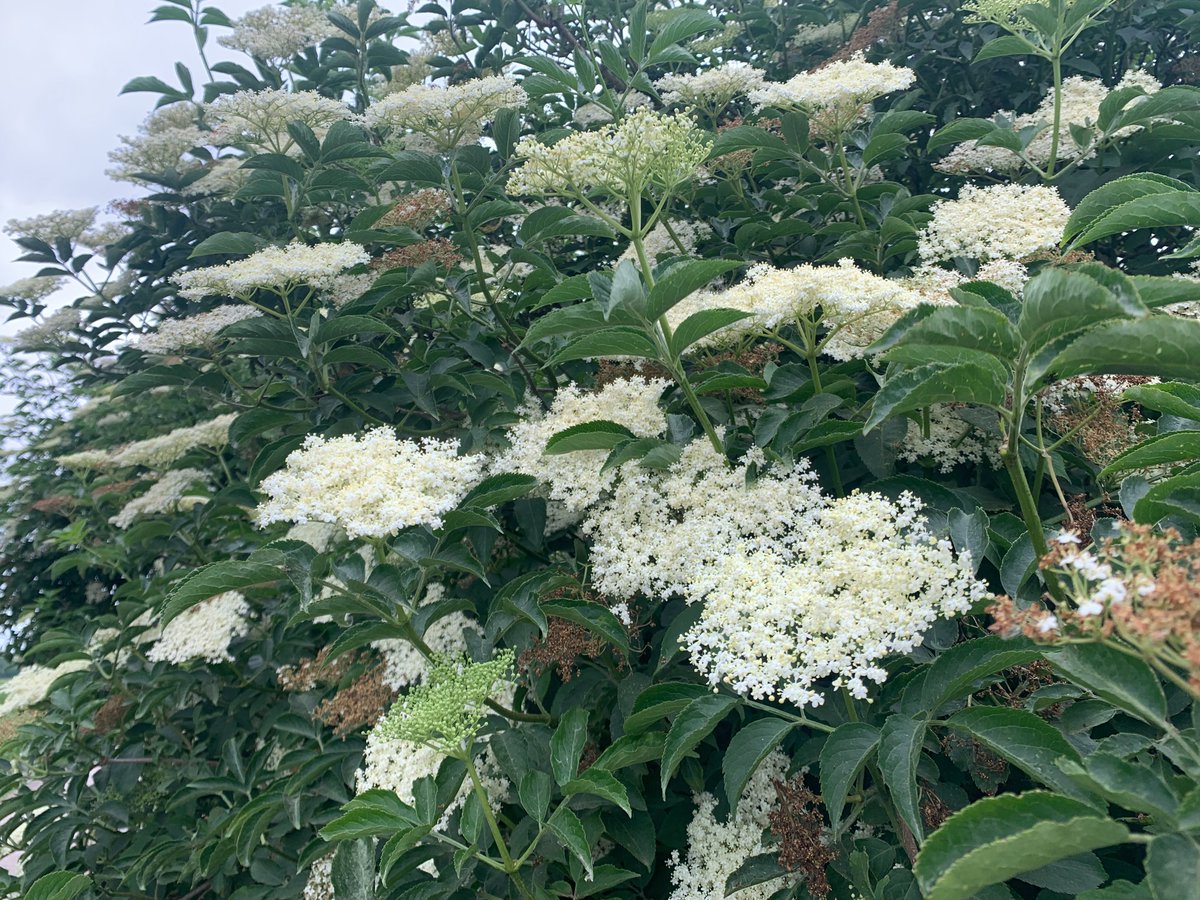 Devon Wildlife Tours tweet media