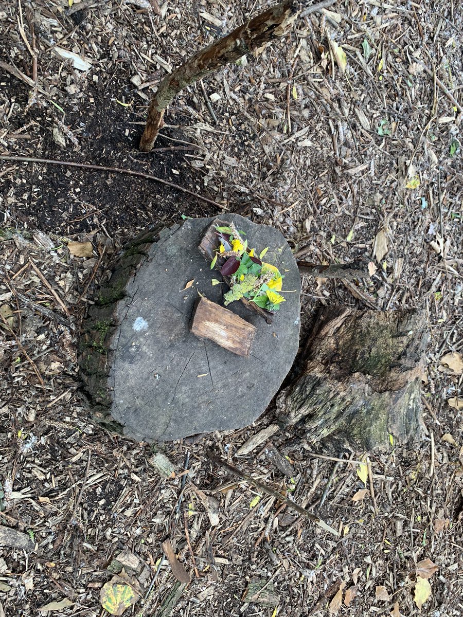Year2Chalgrove's tweet photo. Today Year 2 created some abstract art using resources from our woodland habitat @ChalgroveSchool https://t.co/HIZHrqWEN6