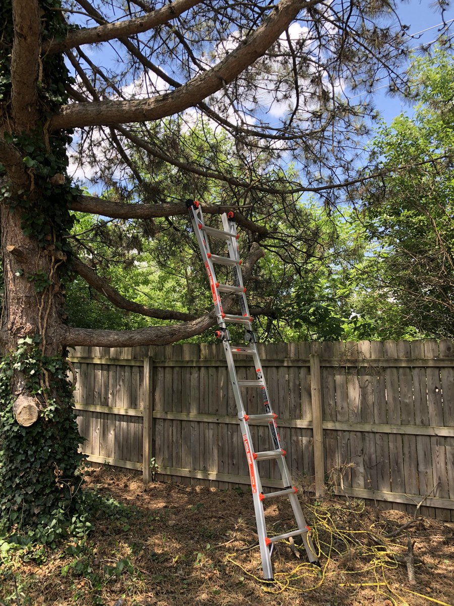 cindybjorkquist's tweet photo. Love love love my ⁦@littlegiant⁩ !  #womenWithPowerTools https://t.co/B9mWn2YnZu