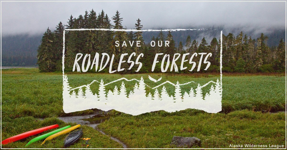 We cannot continue to cut down one of our most powerful #climate solutions: ancient old-growth forests. Thank you <a href="/USDA/">Dept. of Agriculture</a> <a href="/forestservice/">USDA Forest Service</a> for committing to addressing #RoadlessRule protections in the Tongass National Forest — a full reinstatement is needed ASAP! #ProtectTheTongass