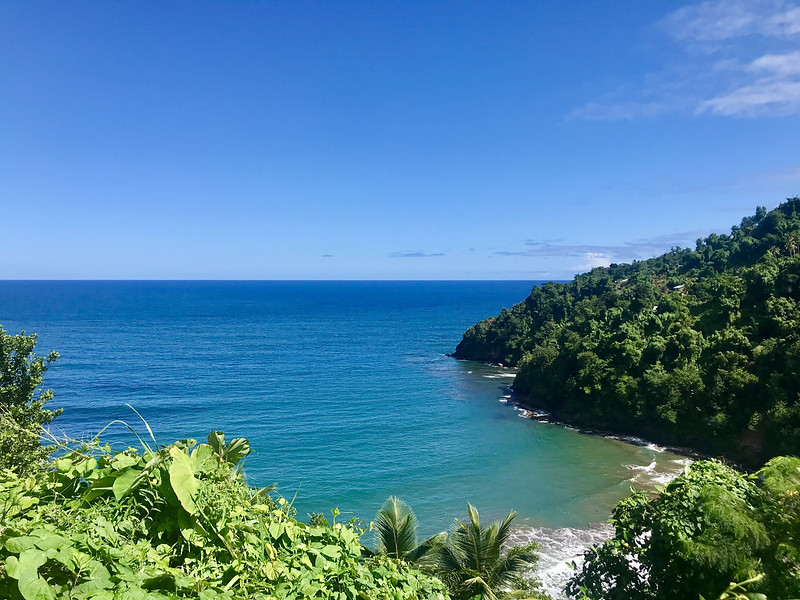 Crisis climática y pérdida de biodiversidad: dos partes de un problema ipsnoticias.net/2021/06/crisis… via <a href="/CambioClimMX/">Cambio Climático MX</a>
