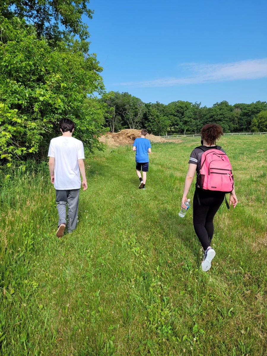 MrsONeil_MCHS's tweet photo. Day five of #SummerSession1 Shoutout to @mxford64 for subbing today while I was at my PERA training & assessment. Clearly, they had fun working with the little herd, going on a mindfulness walk, and baking treats for the animals. #GrowingForward #WarriorPride156 #Summer2021 🧡🖤 https://t.co/ReZfwgCiay