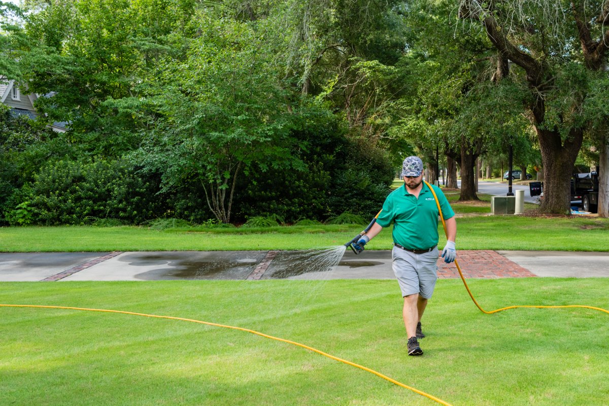Modern Turf - Rembert tweet media