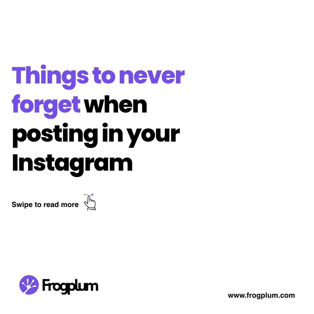 Frogplum Solutions tweet media