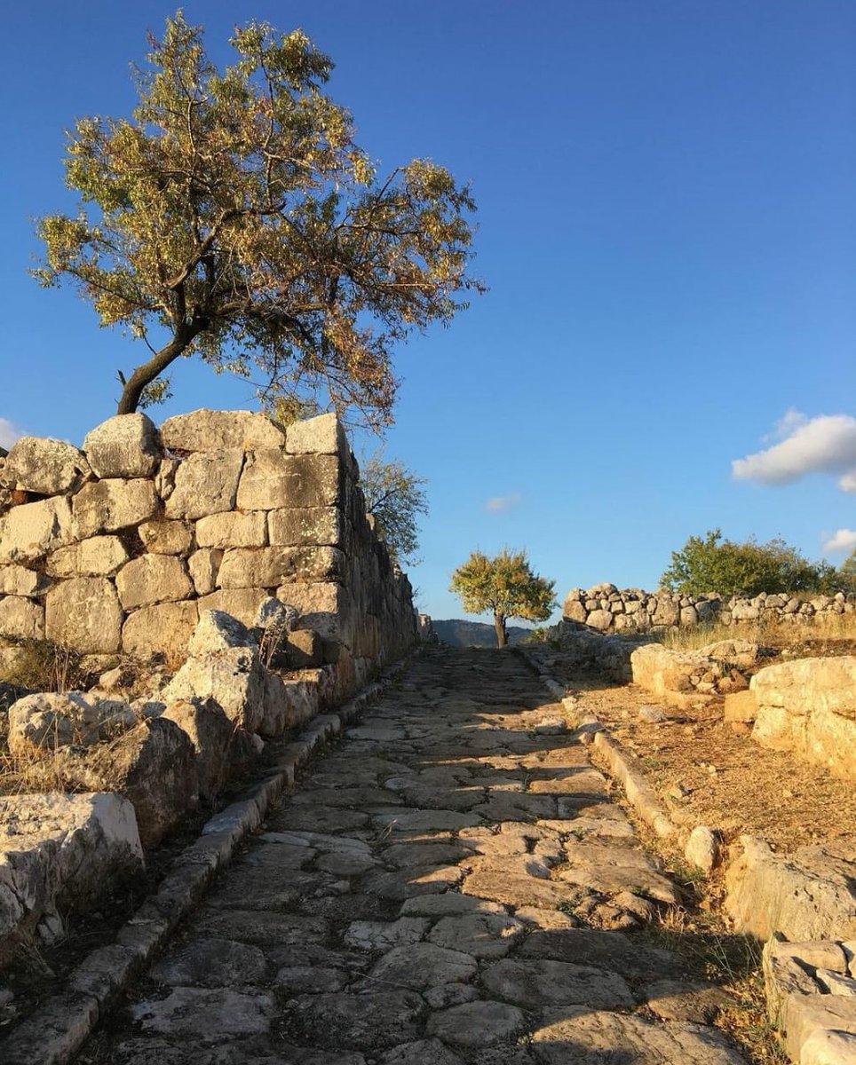 visit_lazio's tweet photo. Conosciamo meglio l'antica #Norba, con il suo paesaggio mozzafiato sulla pianura pontina e i resti archeologici della città. 
Un Parco Archeologico nel comune di #Norma, in provincia di #Latina sui #MontiLepini

IG ali_ne_96

#riparTIAMOlazio #FaiUnSaltoNelLazio #LazioIsMe https://t.co/YQknvHdEMt