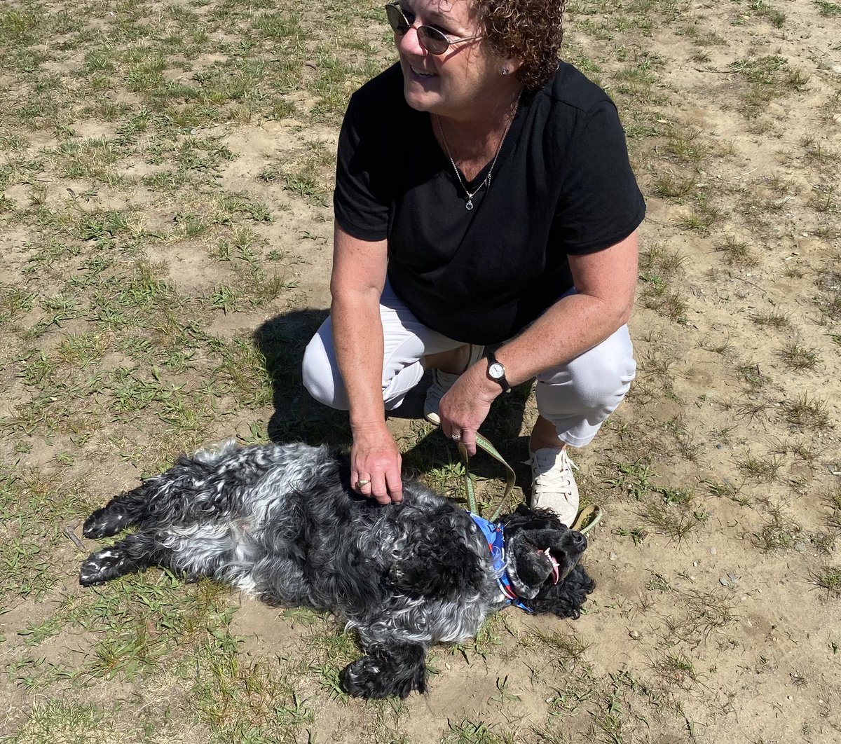 Rolling into the weekend like Miss Sassy … #itsfriday #CanineTrainingCenterRehoboth <a href="/Frps_Tansey/">James Tansey School</a> <a href="/FRPSsupt/">Fall River Public Schools Supt</a> <a href="/edaniel105/">Elizabeth Daniel</a> <a href="/_MrsSavoie/">Megan Savoie</a> <a href="/Ms_Persons/">Brittany Persons</a>