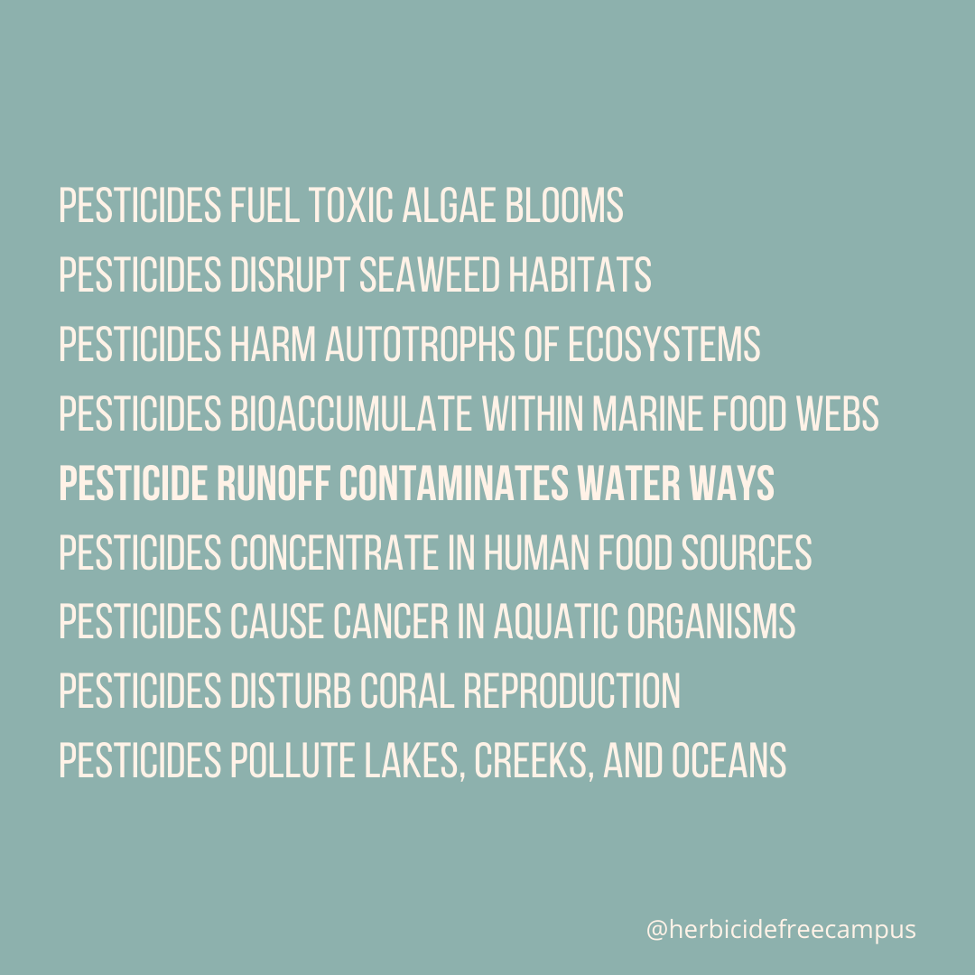 Re:wild Your Campus tweet media