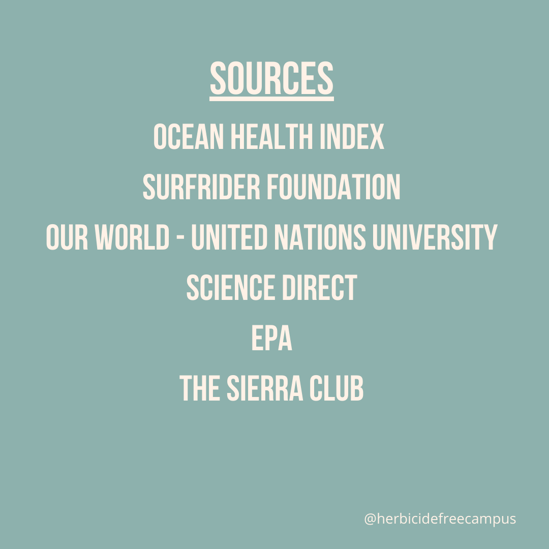 Re:wild Your Campus tweet media