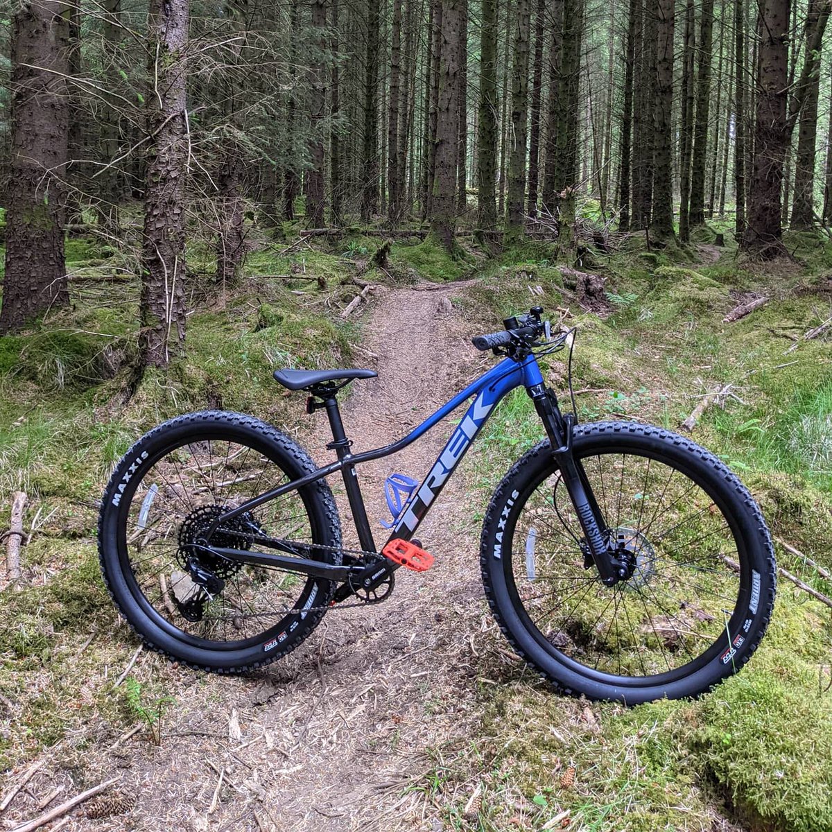 #newbikeday for one lucky 8 year old girl! #trekbikes