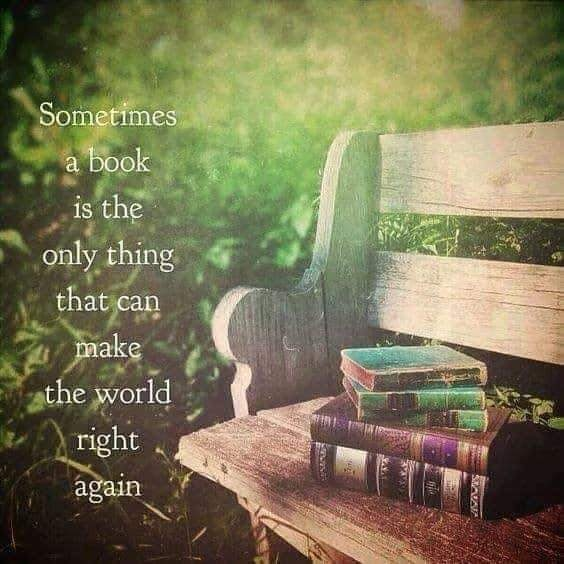 mira lyla (@lylamira) on Twitter photo 