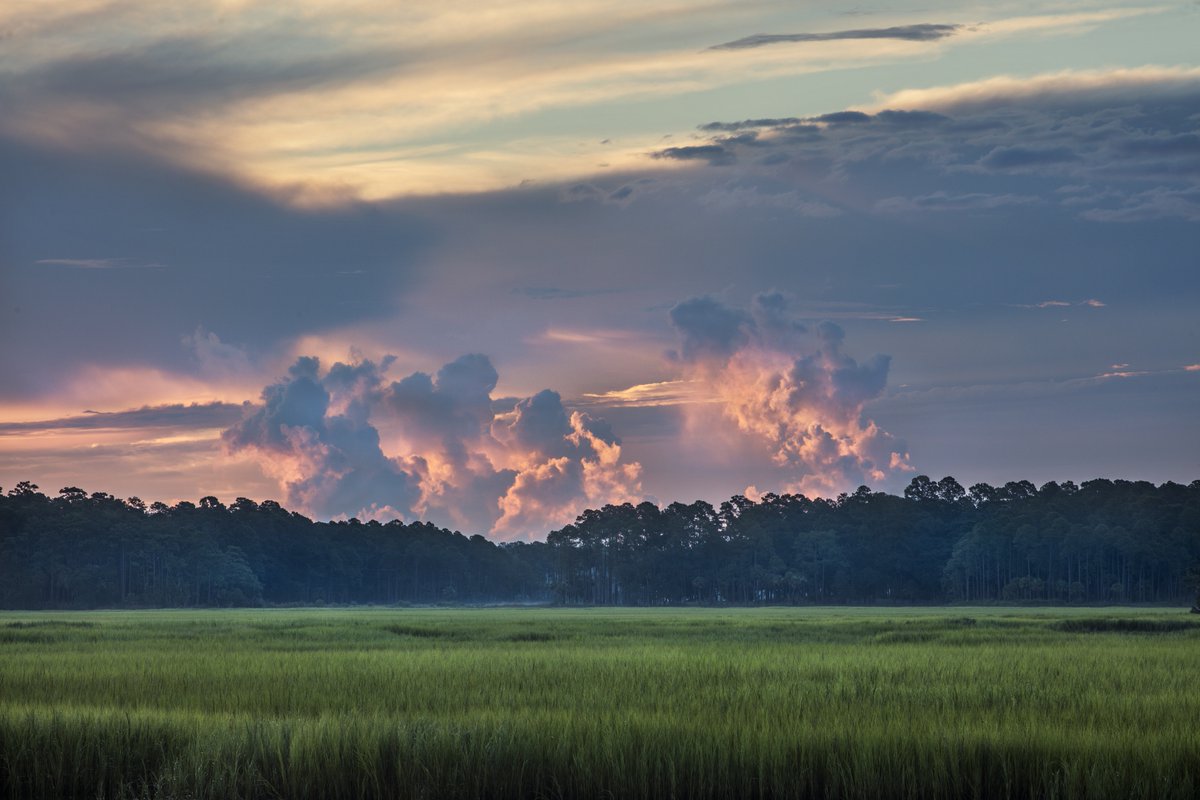 Exciting news! Yesterday, we shared that Palmetto Bluff has been acquired by South Street Partners, a leading private equity firm specializing in the development and management of luxury resort and residential communities.