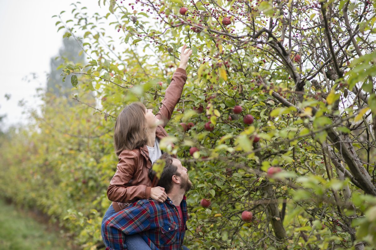 FREE webinar alert in partnership with <a href="/WSDAgov/">Washington State Department of Agriculture</a>: "Taking Your Agritourism Enterprise to the Next Level" Monday, June 14, Noon-1:30 p.m. Register: conta.cc/3pH4Gwg See you there?