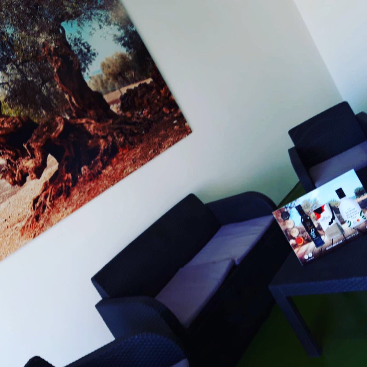 Banc de S'Oli tweet media