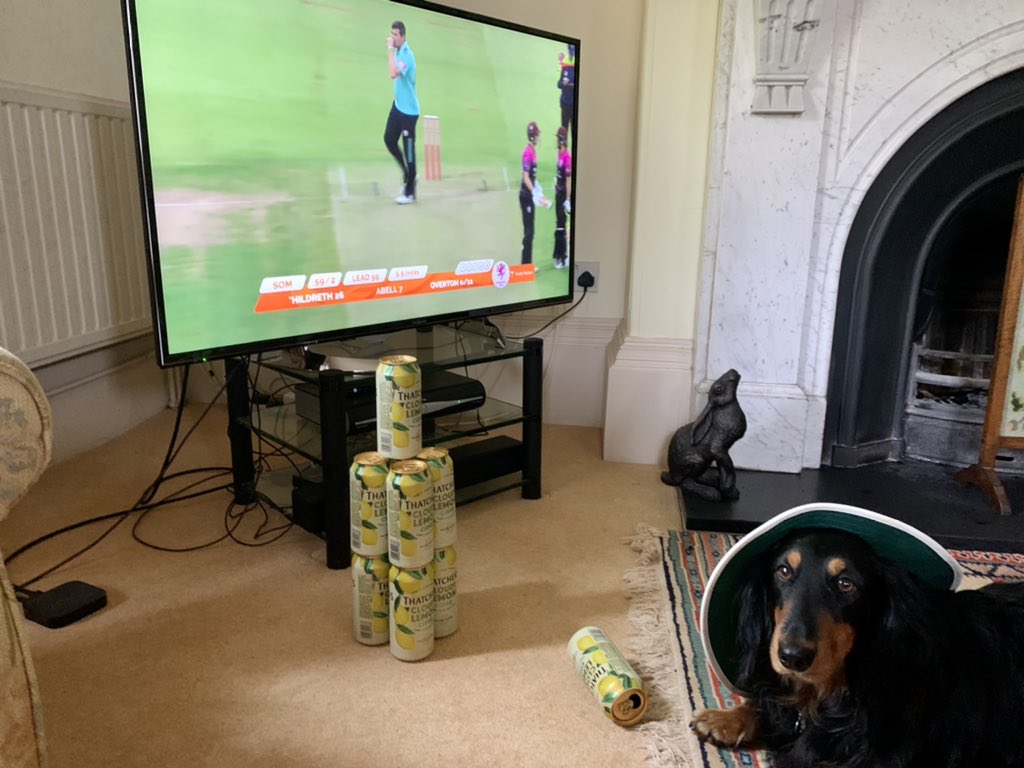 anneashford's tweet image. It’s a dog’s life 🏏 #StreamInStyle #CmonSomerrrrset @SomersetCCC @ItsTradeNation @thatchers_cider