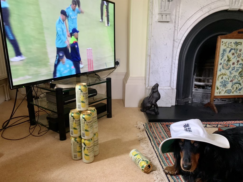 anneashford's tweet image. It’s a dog’s life 🏏 #StreamInStyle #CmonSomerrrrset @SomersetCCC @ItsTradeNation @thatchers_cider