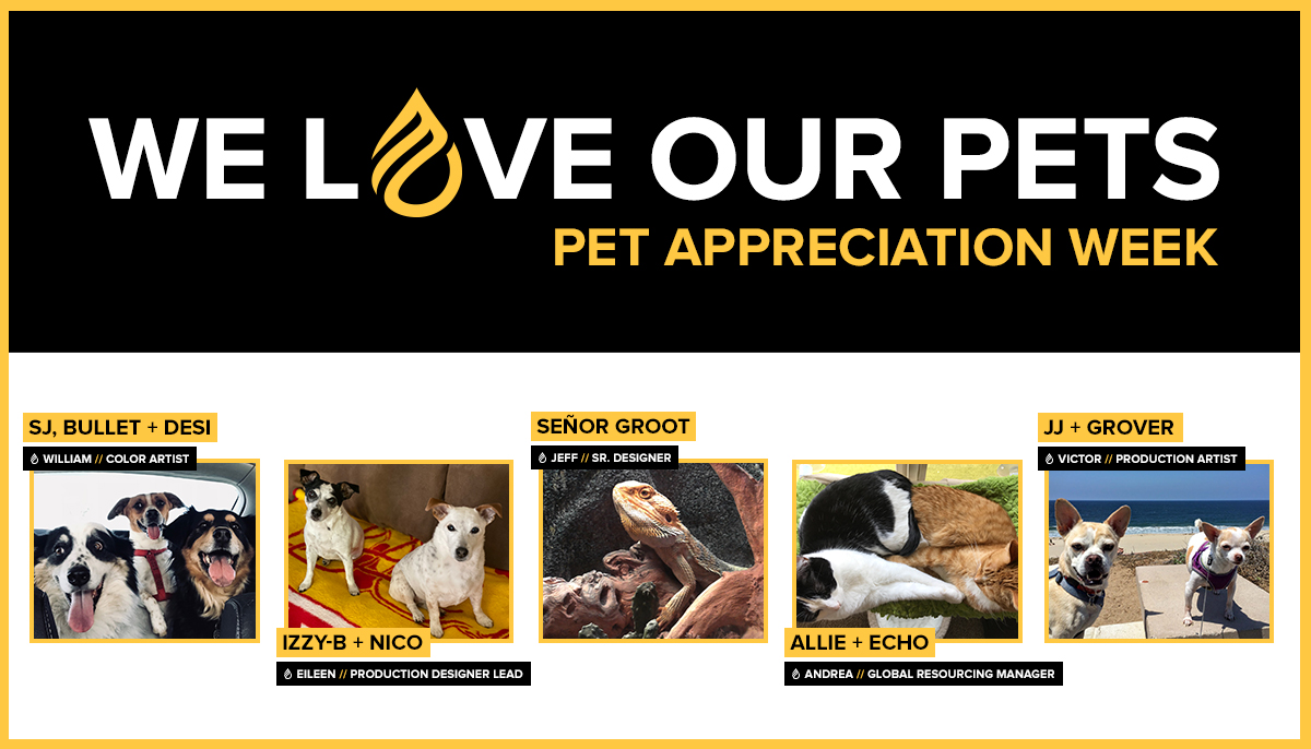 moagency's tweet photo. Midnight Oilers love their pets each and every day, so in recognition of the 40th anniversary of Pet Appreciation Week (“PAW”) we thought we’d share some of our cuties with you! Celebrate your cherished pet and share the love with the world.
#petappreciationweek #PAW #petsofMO https://t.co/fAtYwQzmeu