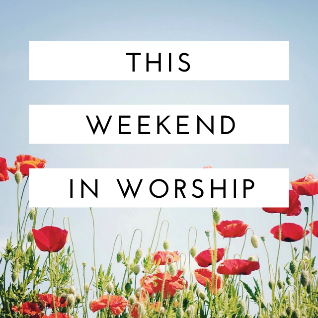 StoneBridgeSimi's tweet photo. Join us in worship this weekend as Pastor Jon preaches on Philippians 1:15-18 with a message about being the church and what is most important. 
#stonebridge #stonebridgesimi #church #worship #cultivate https://t.co/AL4GMfdvQJ