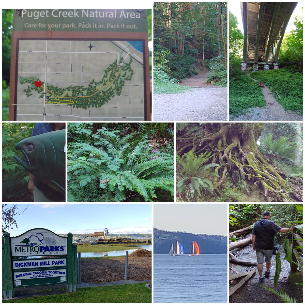 SunComm2012's tweet image. Puget Creek Trail and Tacoma Waterfront
#tacomatrailschallenge