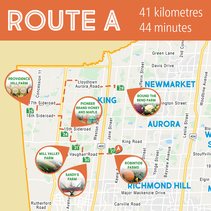 YorkFarmFresh's tweet image. Route A is a tour through King Township with produce, honey, flowers and turkey available.  

#passporttofresh #localfoodweek #visitydh