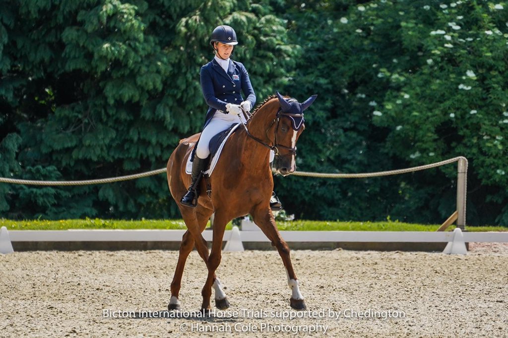 Bicton Arena tweet media