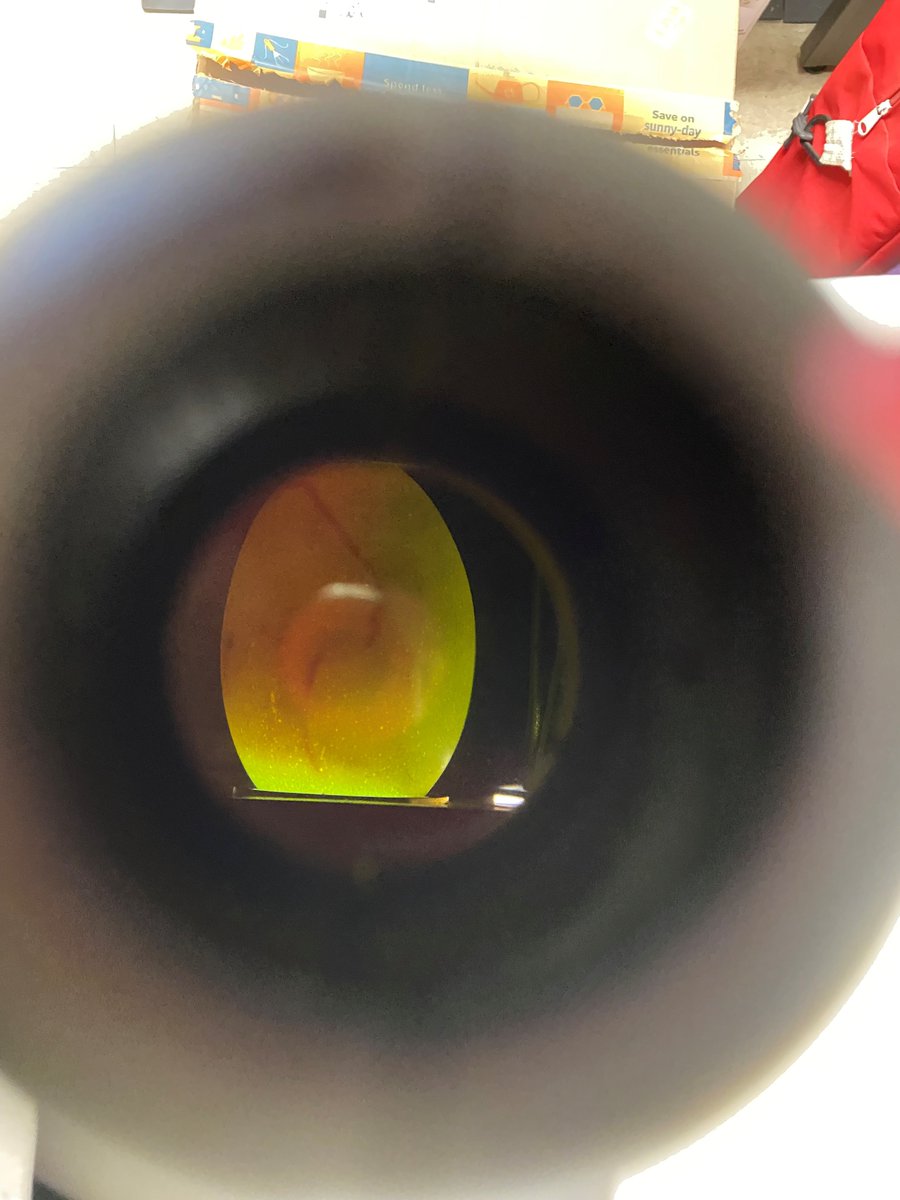 4-H Sutter-Yuba tweet media