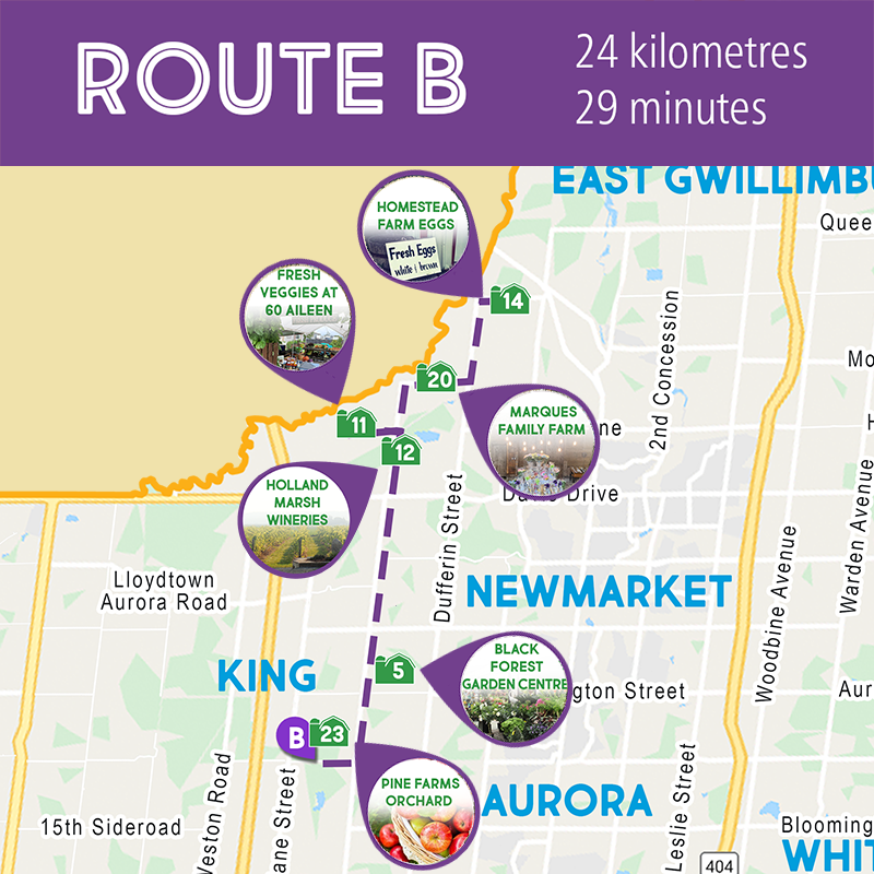YorkFarmFresh's tweet image. Route B goes from King City to the Holland Marsh, one of Canada's most significant agricultural regions.  Pick up ready to eat items, garden plants, wine, eggs and the freshest produce available. 

#passporttofresh #localfoodweek #visitydh