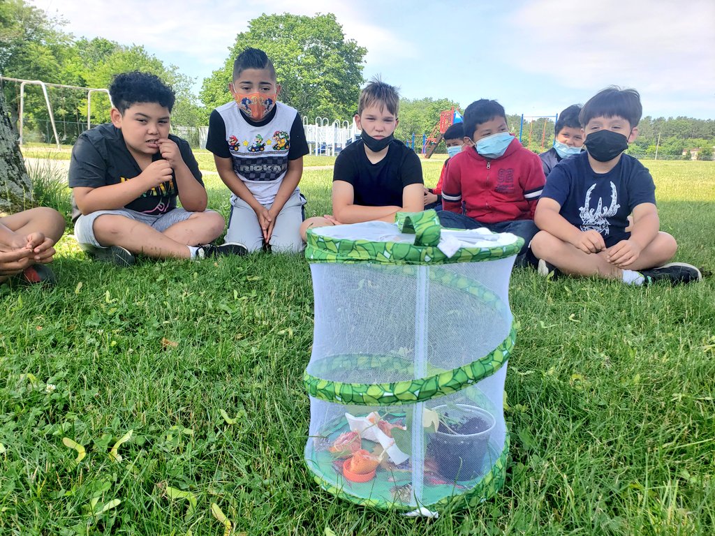 Saying goodbye to our resident butterflies....  it's been super exciting to learn about &amp; watch the magical metamorphosis 🐛🦋🌱 <a href="/PhillipsAveElem/">Phillips Ave Elem</a>