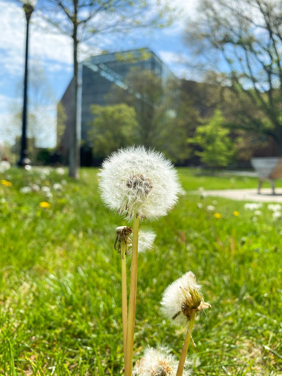 Wilson Commons Student Activities tweet media