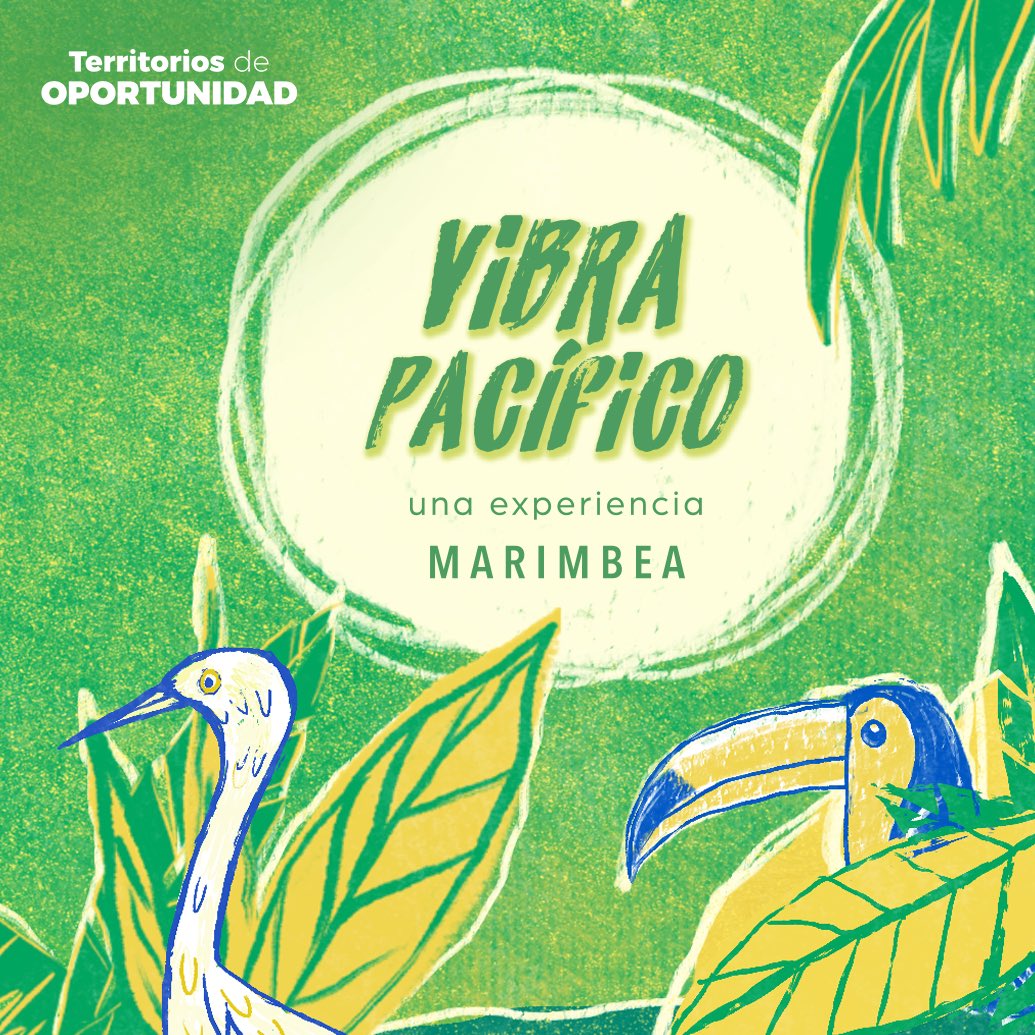 MarimbeaCol's tweet photo. Muy felices y orgullosos de presentarles Vibra Pacífico, un viaje virtual que diseñamos para que vibren con la cultura del Pacífico sur de Colombia 
💥✈️🌊 
#TerritoriosDeOportunidad
#VibraPacifico
#ViajeVirtual
#VirtualTrip
#travel #trip #instatravel #viajeros https://t.co/od4fqkeUS2