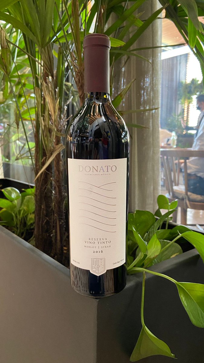 Food and Travel MX tweet media