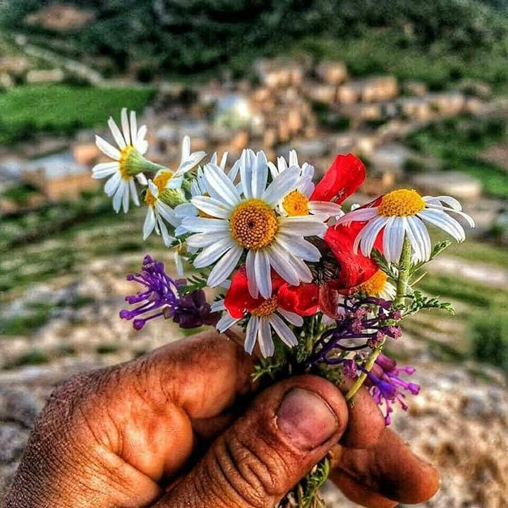 mar_de_sirena's tweet photo. @somnath456 @VelvetSkye @MrsMeenaKumari @malaradnik @PattiBrookd @LisaTruthJohns @RiverOfDeceit30 @RosaTrunk @mmshobha @Yuvraj_kt @taherehch @Edward733 @srone82 @AnneEventsCo @shinunao2 @Gnanase34995362 @kailashcsharma @robtropper @wjy7k1 @sminaev2015 @fryld @rosmarie1291 @louzival2011 @angelicagallegs @Mariezr4M @LiliBodo @corriesmit1960 @DivMeta @DOXAgr @DanielaChirico @_get_a_klu_ @Haya13121 @Silau25 @jet_new @Cathhewat123 @aria_sio #Gratitude🇮🇳#India!
#Greetings of Health Y Peace🇮🇳!
#StayAtHome🏡
#WashYourHands
#WearAMask 
✌️
#Health Y #Peace🌏🌍🌎#Worlds!
#UnionIsHealth💓
When WE Share #Nature🌻WE reap #Flowers!
WE are #NatureLovers🌳#PlantATree🌳

#LookUpAtTheSky:
#ForFree🍃#Healthy🍃#ForALL
🕯️
#Bach🎵Air https://t.co/42kN8RgAcE