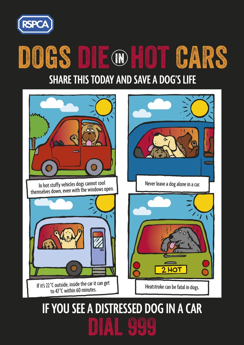 RSPCA_official's tweet image. ☀Retweet this to save a dog's life!🐶
This weekend is set to be a hot one, so we're reminding people to never leave their dog in a car on a warm day, because #DogsDieInHotCars 🚗

If you see a dog in distress in a hot car, call 999 immediately 📞🚨 bit.ly/2ngWS7o