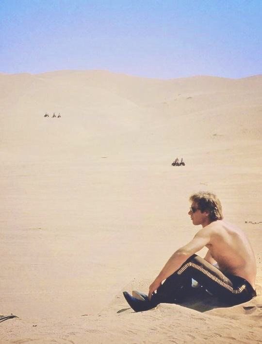 🎶☕️Stardust 🍷🎶 tweet media